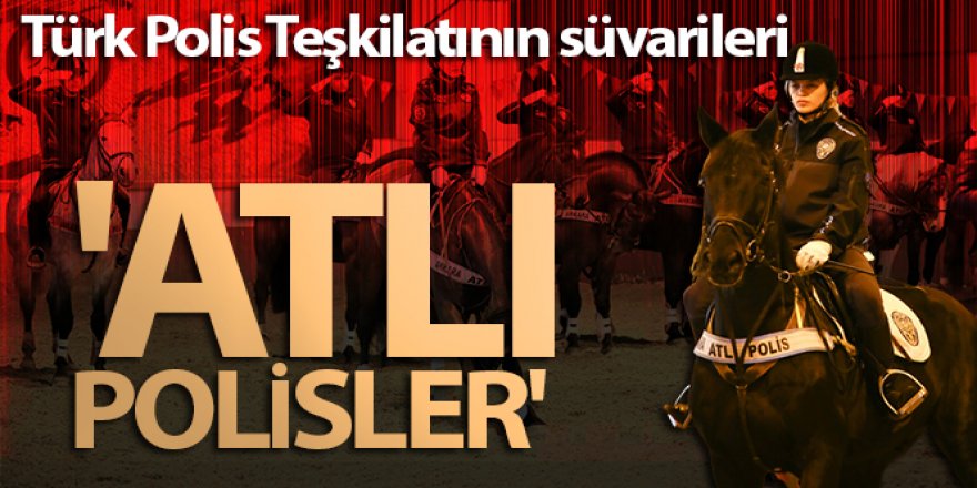 Türk Polis Teşkilatının süvarileri: 'Atlı Polisler'
