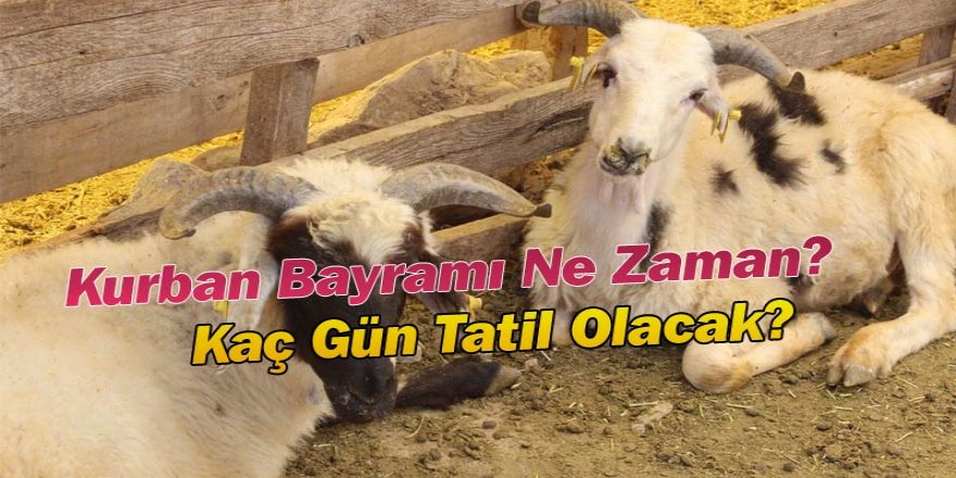 Kurban Bayramı Ne  Zaman?  Kaç Gün Tatil Olacak?