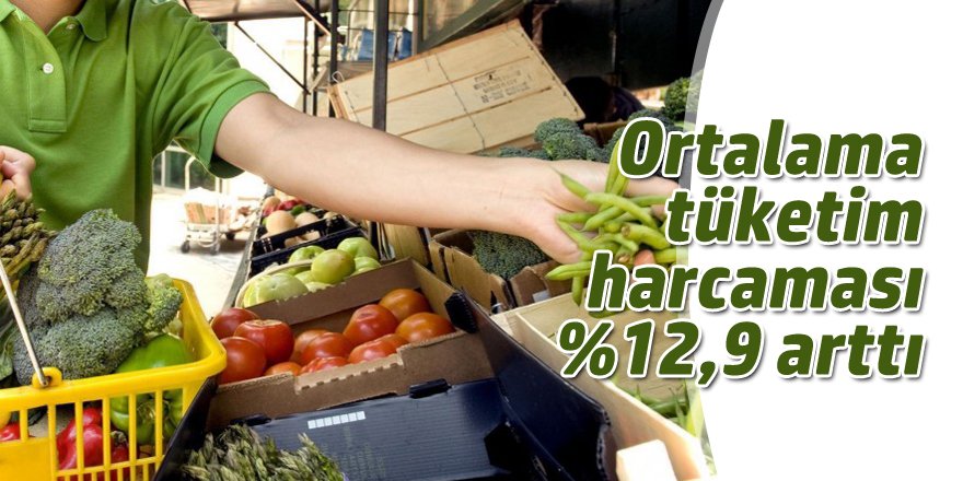 Eşdeğer fert başına aylık ortalama tüketim harcaması %12,9 arttı