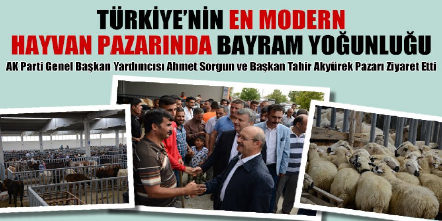 Türkiye’nin En Modern Hayvan Pazarında Bayram Yoğunluğu