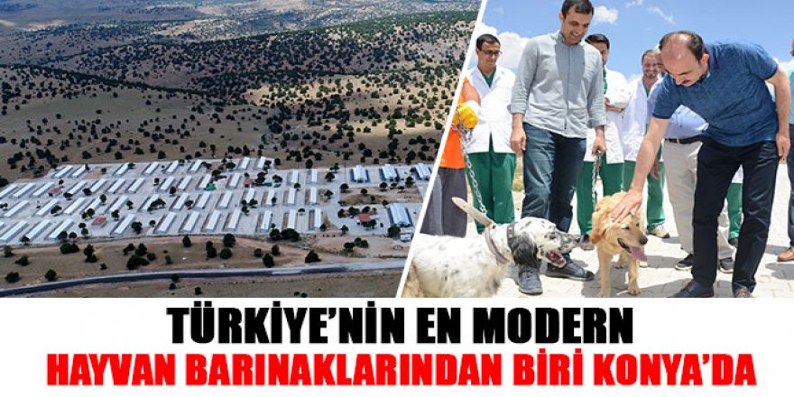 Türkiye’nin En Modern Hayvan Barınaklarından Biri Konya’da
