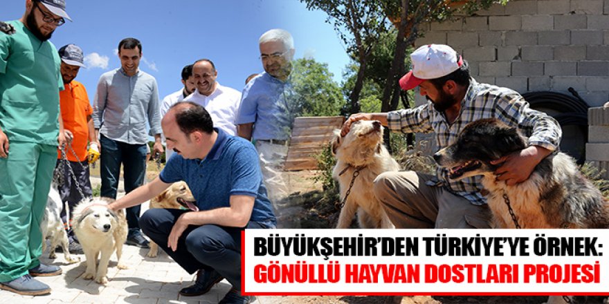 Büyükşehir’den Türkiye’ye Örnek: Gönüllü Hayvan Dostları Projesi