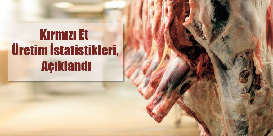 Türkiye`de kırmızı et üretimi artmaya başladı!