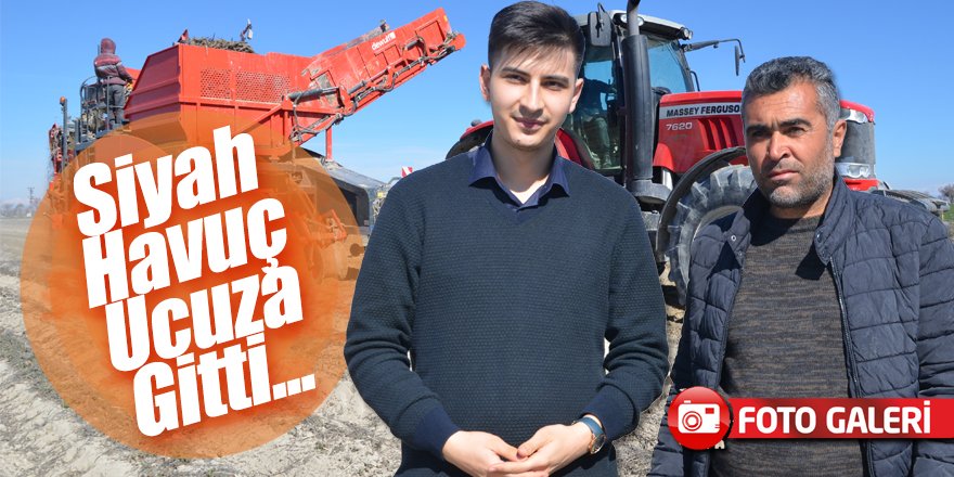 Siyah Havucun Başkenti Akören’de Sezonun Son Hasadı