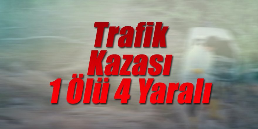 Adana Yolunda Kaza: 1 Ölü, 4 Yaralı