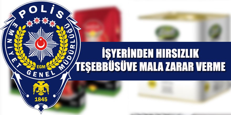 İşyerinden Hırsızlık Teşebbüsüve Mala Zarar Verme