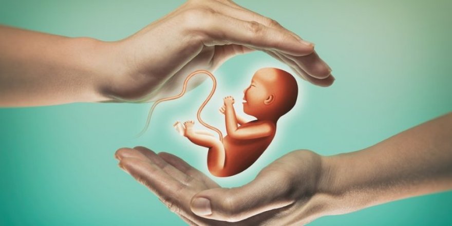Tüp bebekte aşılamayan 7 önyargı