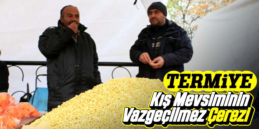 Kış aylarının bilinmeyen çerezi; Termiye