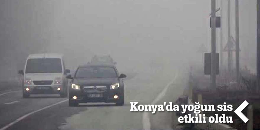 Konya'da sis etkili oldu