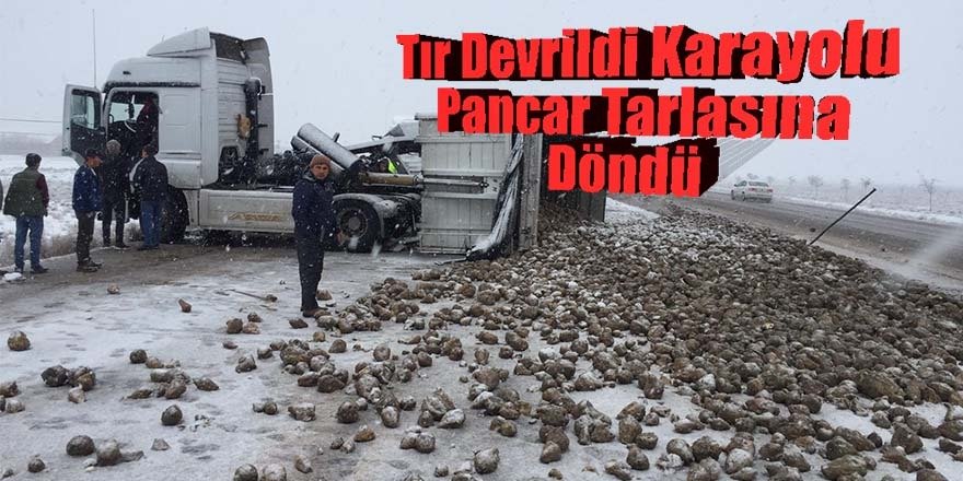 Pancar yüklü tır devrildi Karayolu pancar tarlasına döndü