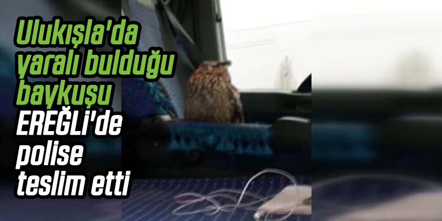 Ulukışla'da yaralı bulduğu baykuşu, Ereğli'de polise teslim etti