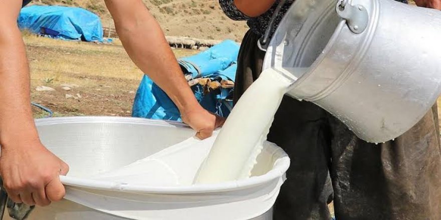 Toplanan inek sütü miktarı Kasımda azaldı