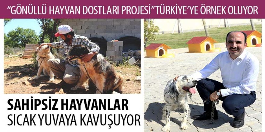 “Gönüllü Hayvan Dostları Projesi” Türkiye’ye Örnek Oluyor