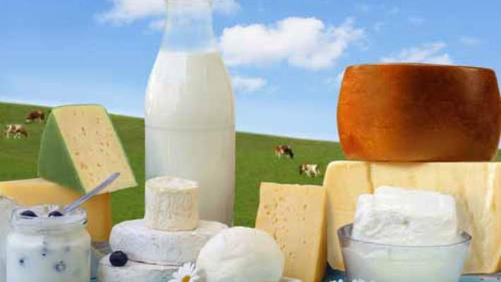 2019 yılı süt ve süt ürünleri üretimi açıklandı