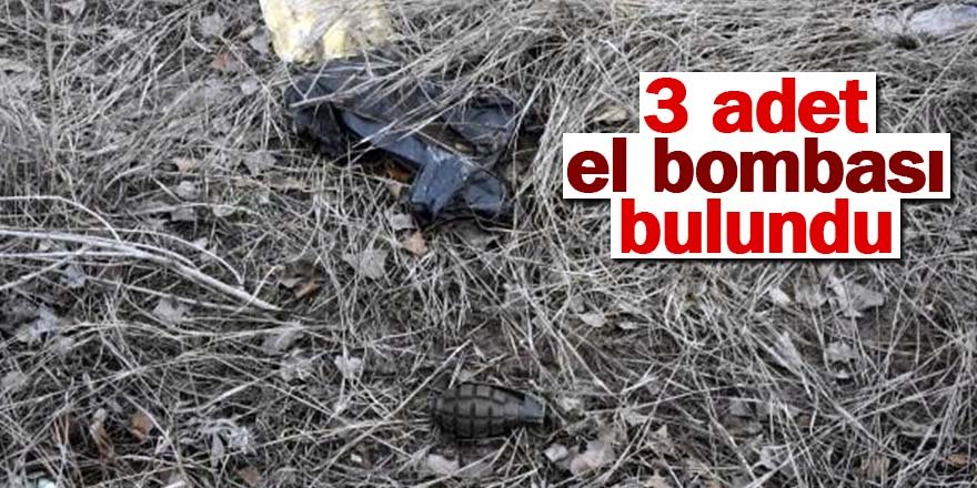 Baraj kıyısında patlamamış 3 adet el bombası bulundu