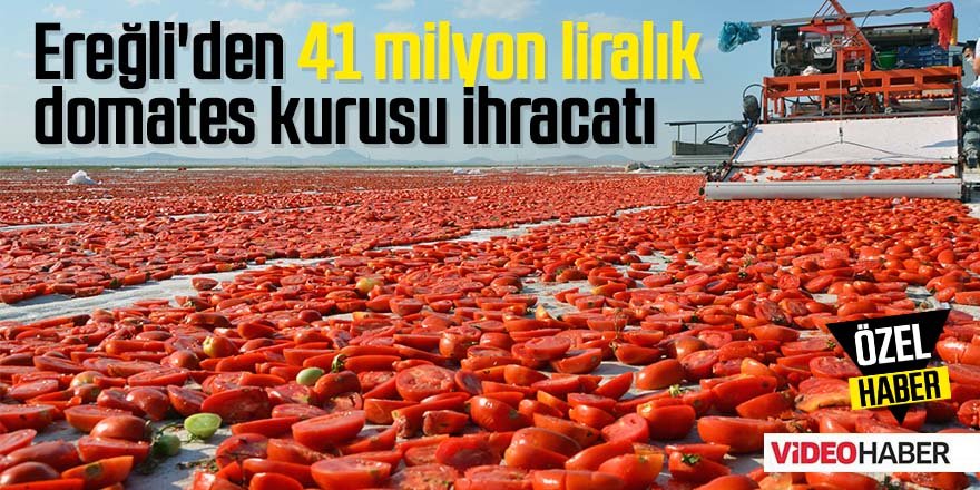 Ereğli'den Dünya ülkelerine 41 milyon liralık domates kurusu ihracatı