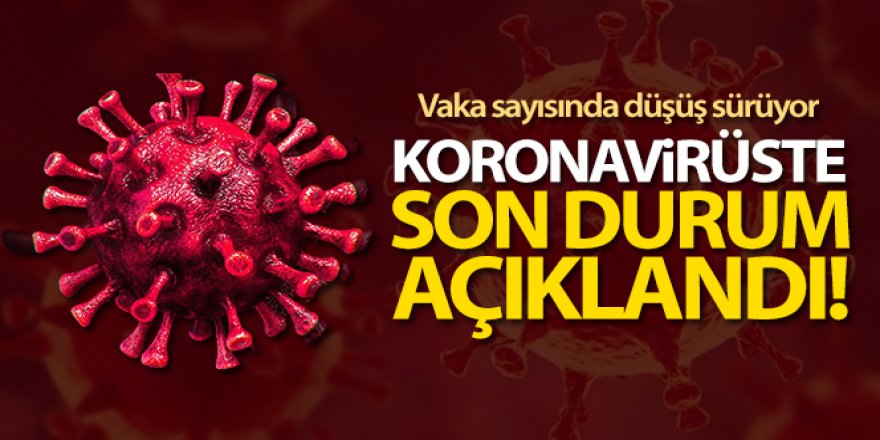 Türkiye'de son 24 saatte 7.550 koronavirüs vakası tespit edildi