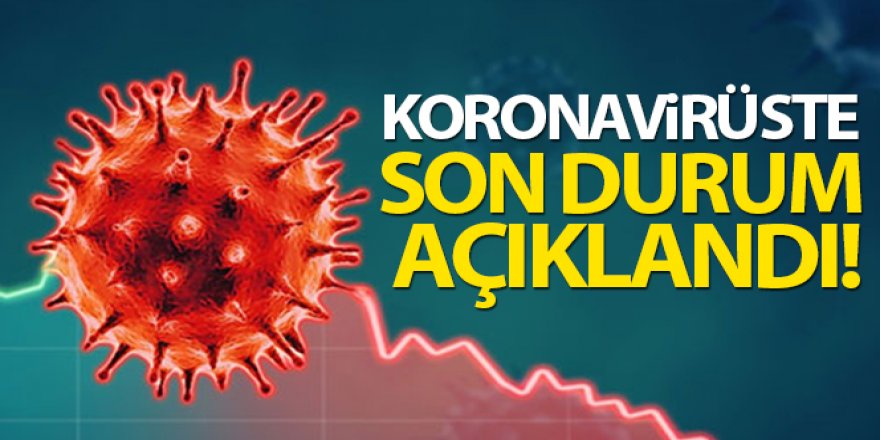 Türkiye'de son 24 saatte 7.489 koronavirüs vakası tespit edildi