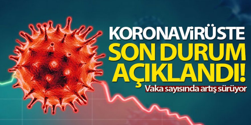 Türkiye'de son 24 saatte 8.102 koronavirüs vakası tespit edildi