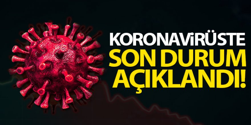 Türkiye'de son 24 saatte 7.909 koronavirüs vakası tespit edildi