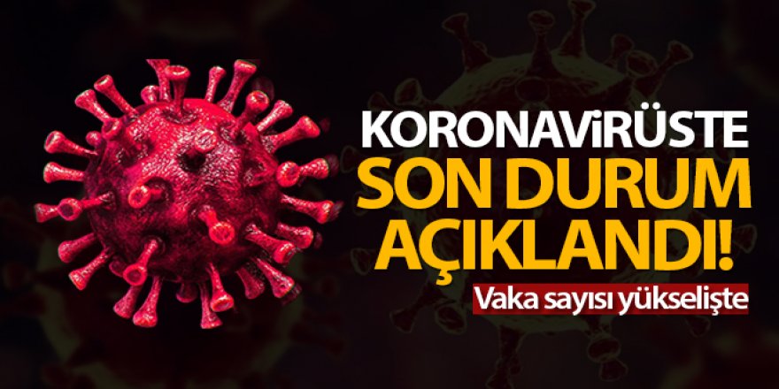 Türkiye'de son 24 saatte 8.104 koronavirüs vakası tespit edildi