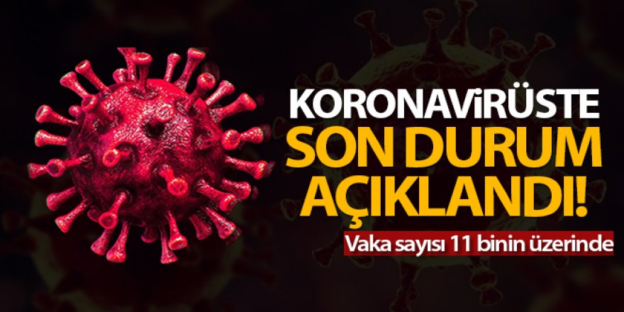 Türkiye'de son 24 saatte 11.322 koronavirüs vakası tespit edildi