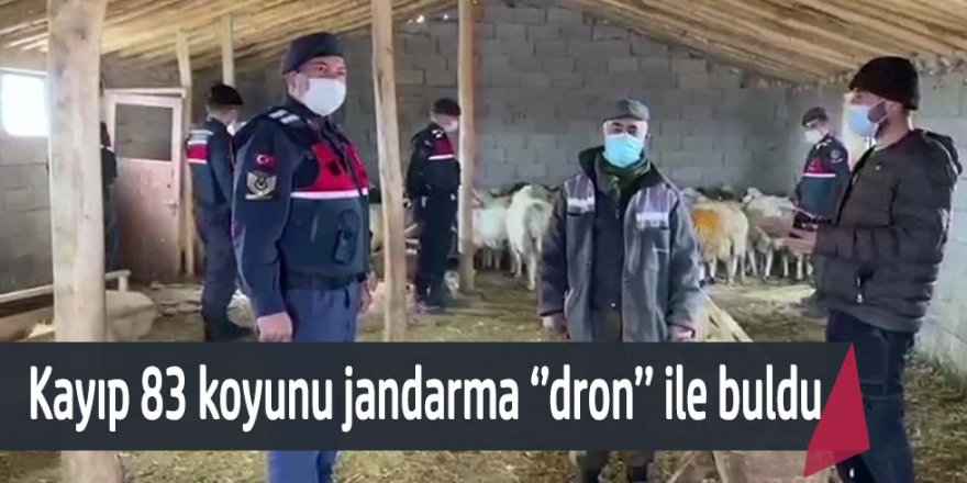 Jandarma, kayıp koyunları dronla buldu