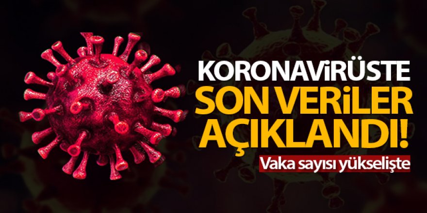 Türkiye'de son 24 saatte 11.770 koronavirüs vakası tespit edildi