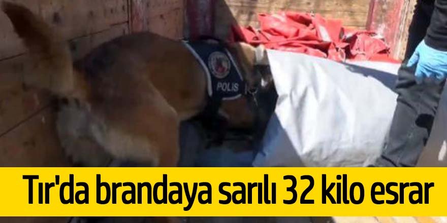 TIR'daki brandaya sarılı 32 kilo esrarı Özel eğitimli polis köpeği 'Lucky' buldu