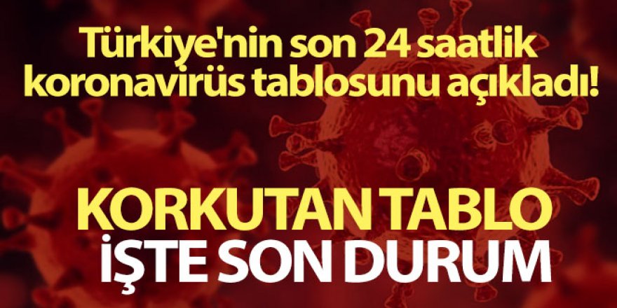 Son 24 saatte korona virüsten 193 kişi hayatını kaybetti