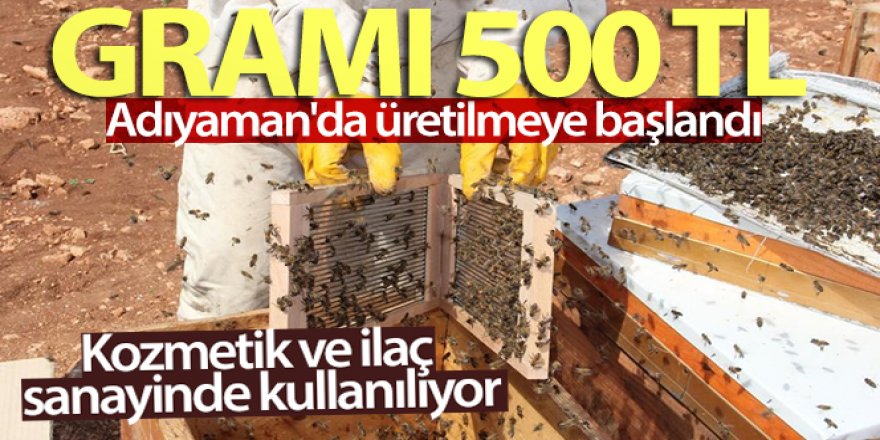 Gramı 500 TL olan arı zehri Adıyaman'da üretilmeye başlandı