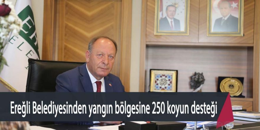 Ereğli Belediyesinden yangın bölgesindeki vatandaşlarımıza 250 koyun desteği