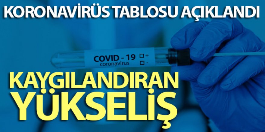 Türkiye'nin 17 Ağustos koronavirüs tablosu açıklandı