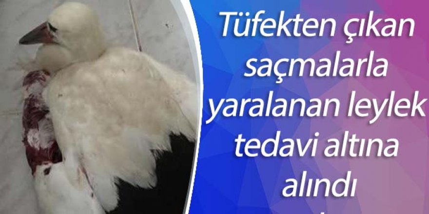 Leyleği tüfekle vurmuşlar