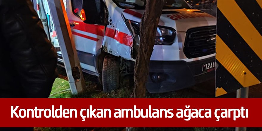 Hasta taşıyan ambulans ağaca çarptı