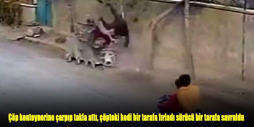 Çöp konteynerine çarpıp takla attı, çöpteki kedi bir tarafa fırladı sürücü bir tarafa savruldu