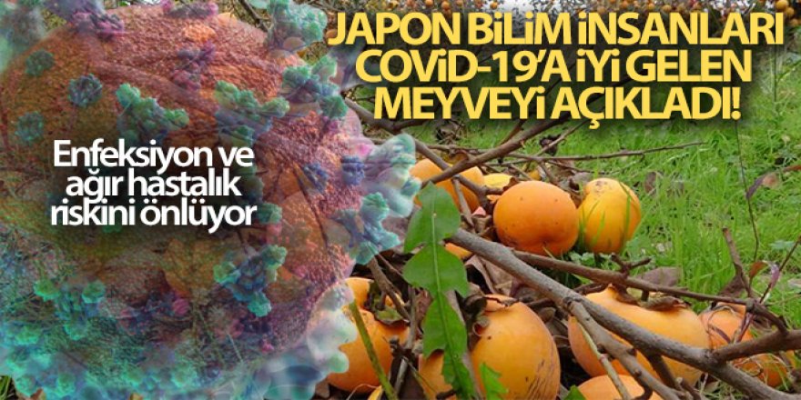 Japon bilim insanları Covid-19'a iyi gelen meyveyi açıkladı