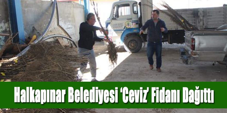 Halkapınar Belediyesi 1500 Adet ‘Ceviz’ Fidanı Dağıttı
