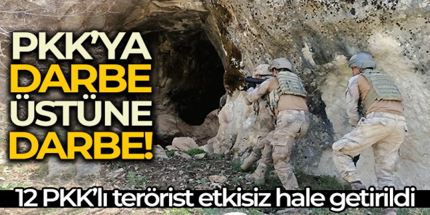 "12 PKK/YPG'li terörist etkisiz hâle getirildi"