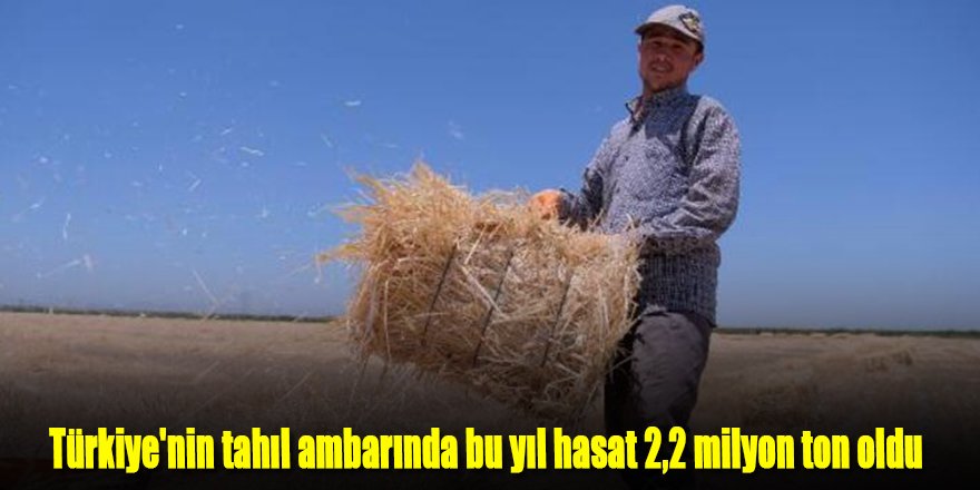 Türkiye'nin tahıl ambarında bu yıl hasat 2,2 milyon ton oldu