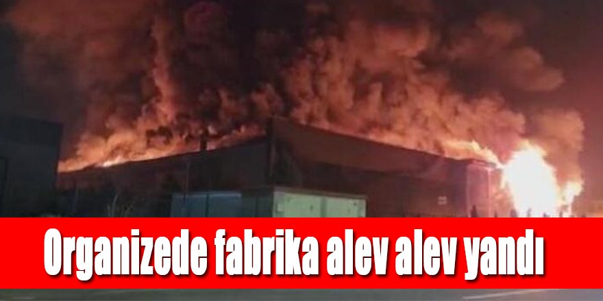 Organizede fabrikada çıkan yangın korkuttu