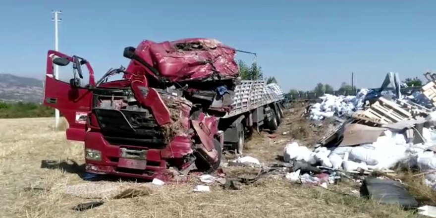 Tır Şarampole Yuvarlandı 1 Ölü