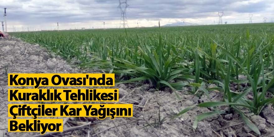 Konya Ovası'nda Kuraklık Tehlikesi: Çiftçiler Kar Yağışını Bekliyor