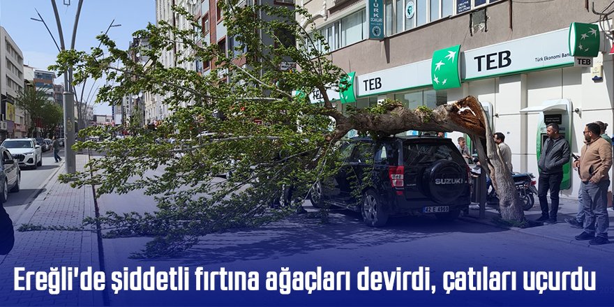 Ereğli'de şiddetli fırtına ağaçları devirdi, çatıları uçurdu