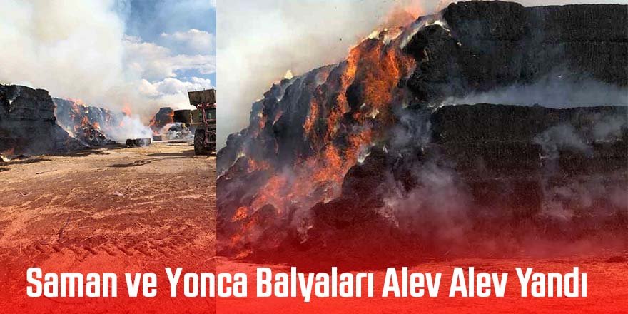 Saman ve Yonca Balyaları Alev Alev Yandı