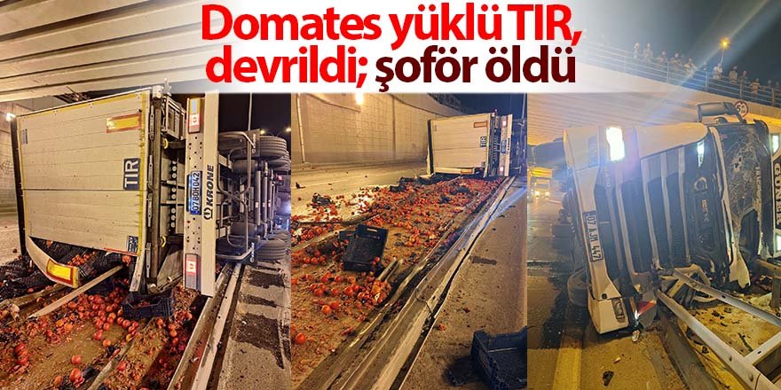 Domates yüklü TIR, devrildi; şoför öldü