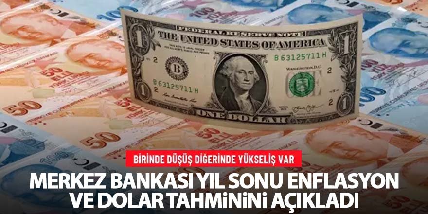 Merkez Bankası yıl sonu enflasyon ve dolar tahminini açıkladı