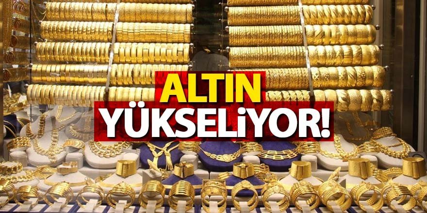 Altın Yükselişte