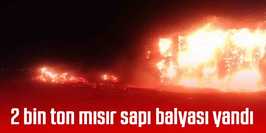 2 bin ton mısır sapı balyası yandı