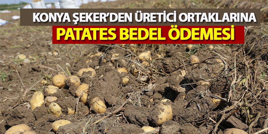 Konya Şeker’den Üretici Ortaklarina Patates Bedel Ödemesi 